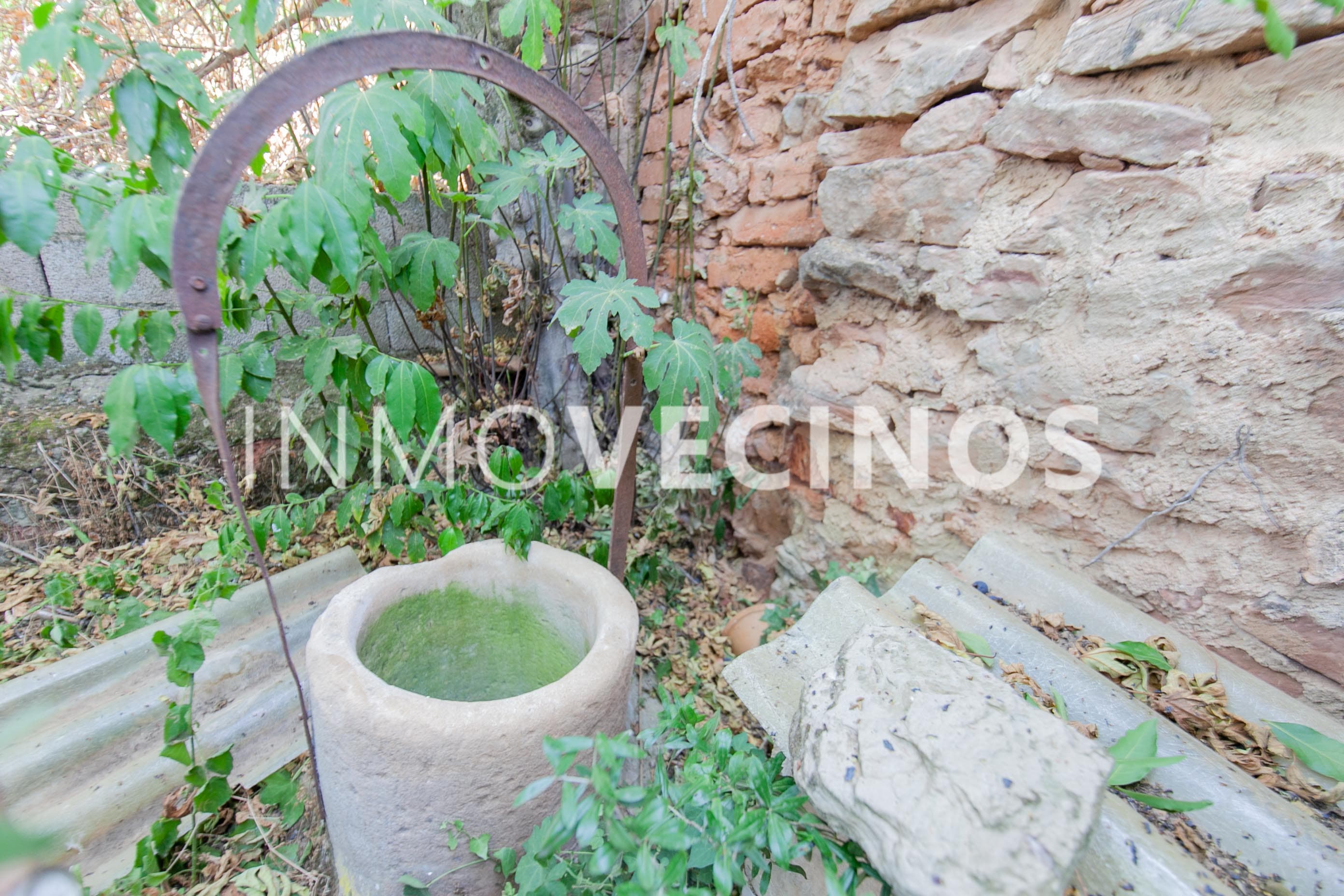 Imagen 43