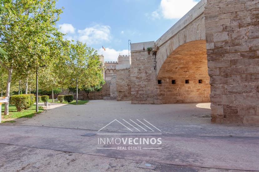 Imagen 29