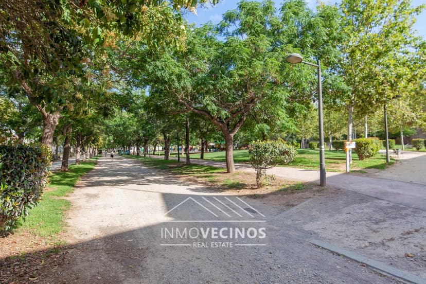 Imagen 30