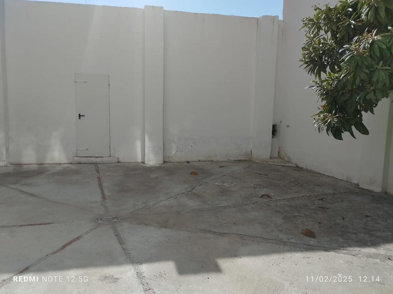 Imagen 7