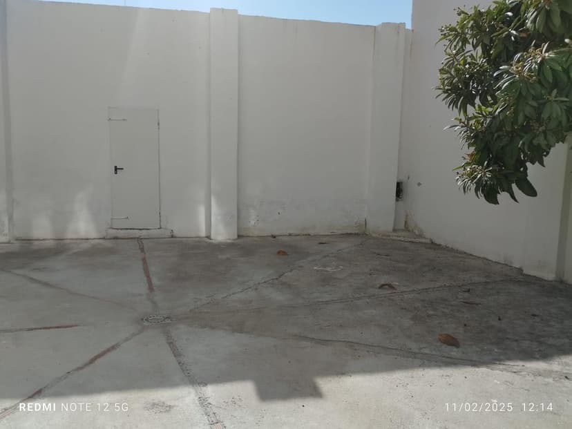 Imagen 7