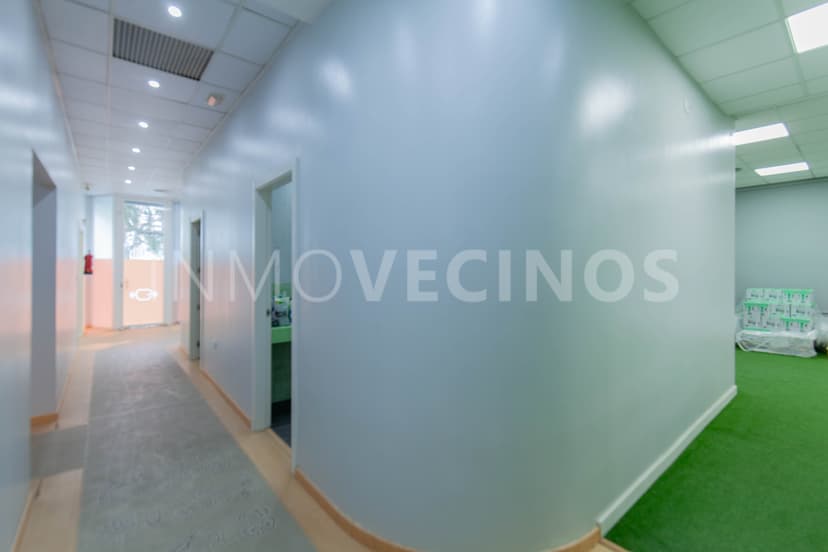 Imagen 20